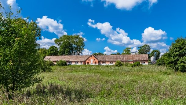 Doba - zdjęcie 28