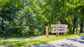 Dziewiszewo - zdjęcie 26