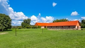 Dziewiszewo - zdjęcie 25