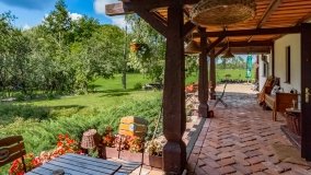 Dziewiszewo - zdjęcie 24