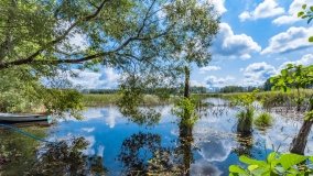 Dziewiszewo - zdjęcie 20