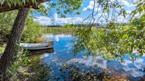 Dziewiszewo - zdjęcie 19