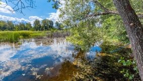 Dziewiszewo - zdjęcie 18