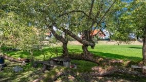 Dziewiszewo - zdjęcie 17