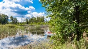 Dziewiszewo - zdjęcie 16