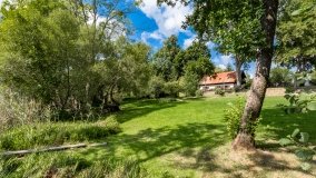 Dziewiszewo - zdjęcie 15