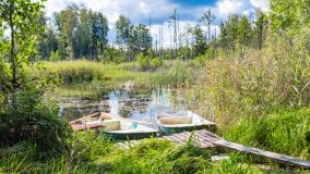 Dziewiszewo - zdjęcie 14