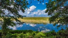 jezioro Dobskie - zdjęcie 28