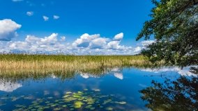 jezioro Dobskie - zdjęcie 27