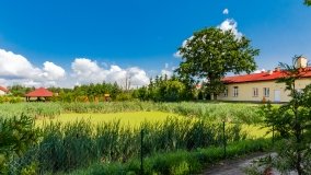 Kamionki - zdjęcie 27