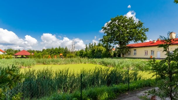 Kamionki - zdjęcie 27