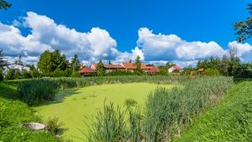 Kamionki - zdjęcie 25