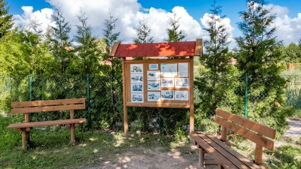 Kamionki - zdjęcie 22