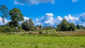 Kamionki - zdjęcie 16