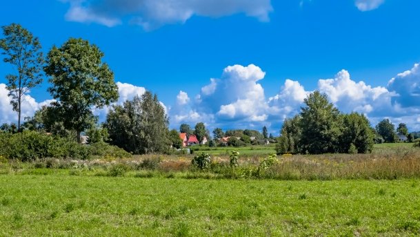 Kamionki - zdjęcie 16