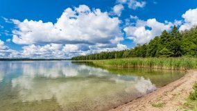 Kamionki - zdjęcie 15