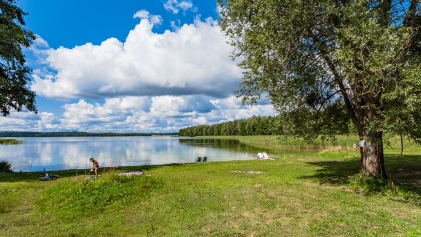 Kamionki - zdjęcie 13