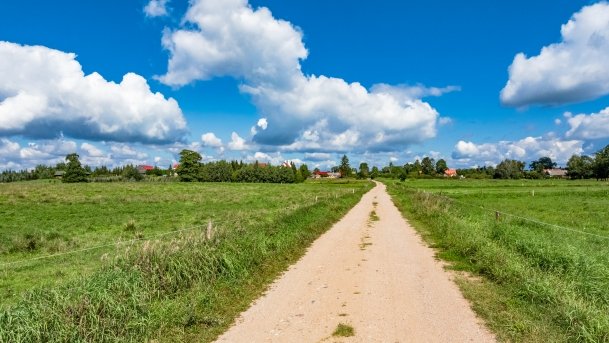 Kamionki - zdjęcie 12