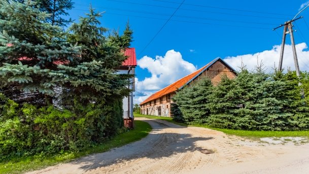 Kamionki - zdjęcie 8