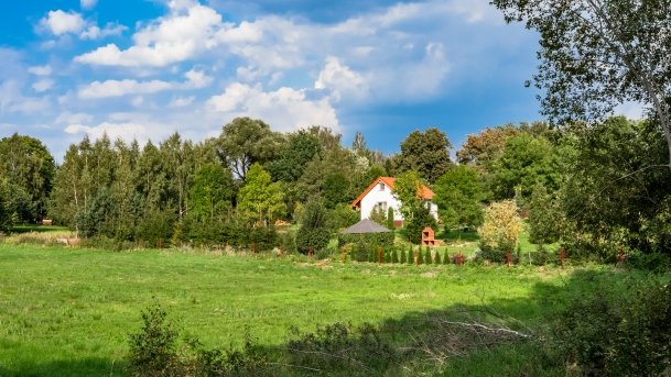 Stręgiel - zdjęcie 33