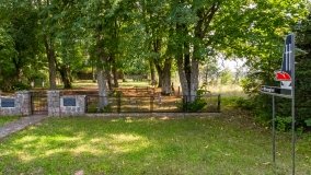 Stręgiel - zdjęcie 32