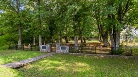 Stręgiel - zdjęcie 31