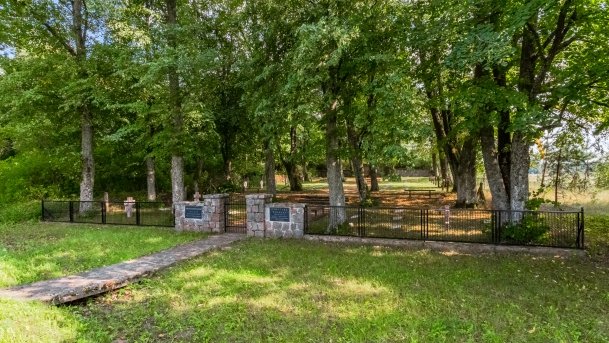 Stręgiel - zdjęcie 31