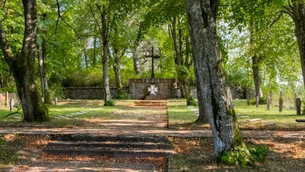 Stręgiel - zdjęcie 29