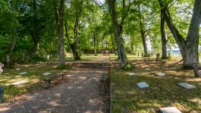 Stręgiel - zdjęcie 28