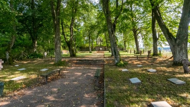 Stręgiel - zdjęcie 28