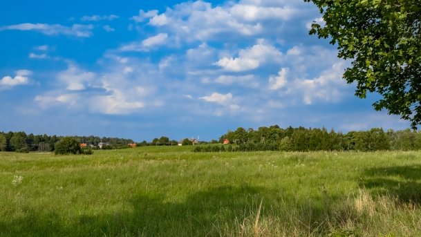 Stręgiel - zdjęcie 27