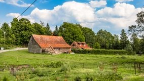 Stręgiel - zdjęcie 26