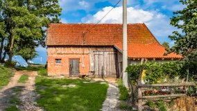 Stręgiel - zdjęcie 24