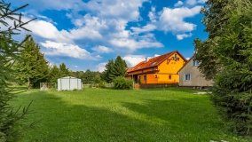 Stręgiel - zdjęcie 23