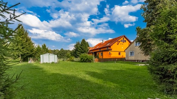 Stręgiel - zdjęcie 23