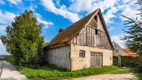 Stręgiel - zdjęcie 22