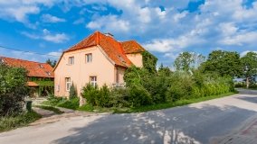 Stręgiel - zdjęcie 21