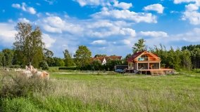 Stręgiel - zdjęcie 20