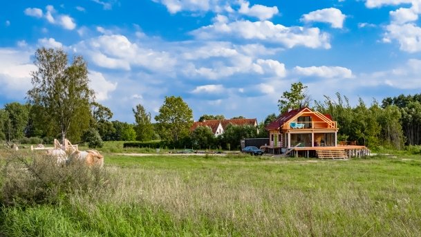 Stręgiel - zdjęcie 20