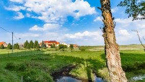 Stręgiel - zdjęcie 17