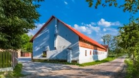 Stręgielek - zdjęcie 14