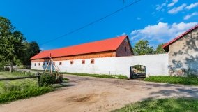 Stręgielek - zdjęcie 13