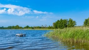 Stręgielek - zdjęcie 11