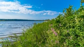 Stręgielek - zdjęcie 10