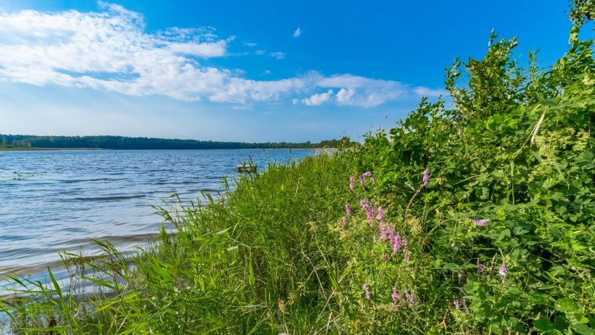 jezioro Stręgielek - zdjęcie 1