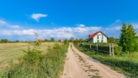 Stręgielek - zdjęcie 9