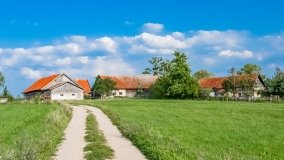 Stręgielek - zdjęcie 7