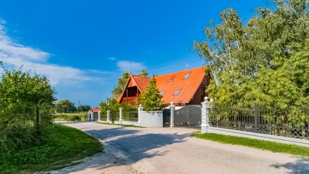 Stręgielek - zdjęcie 5