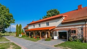 Stręgielek - zdjęcie 3