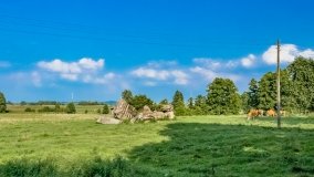 Stręgielek - zdjęcie 2